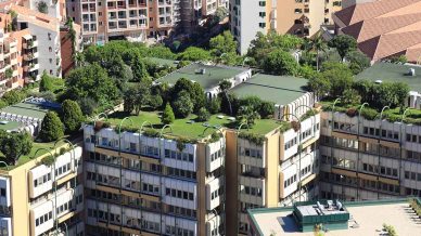 I tetti di Monaco diventano verdi. Così nascono i giardini eco-sostenibili