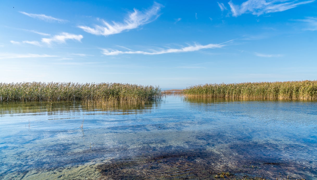 11 posti consigliati per la pesca in mare in Toscana - In Evidenza