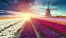 I fiori di Primavera colorano questi posti nel mondo. Ed è magia