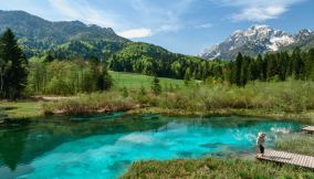 Zelenci: il lago della Slovenia con una pianta carinvora