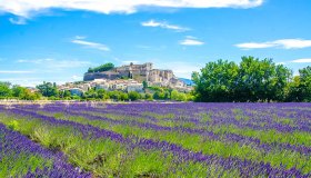 Primavera in Europa: dove vedere le distese fiorite più belle