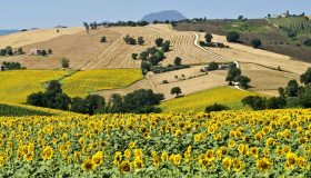 La Vallesina e gli splendidi Castelli di Jesi, i gioielli medievali delle Marche