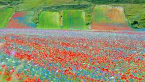 Castelluccio di Norcia