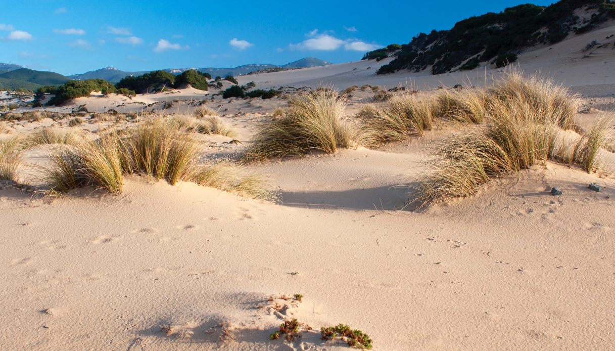 Dune Piscinas