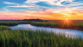 La fonte della giovinezza esiste davvero. E si trova in Florida