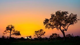 5 canzoni che ti faranno sentire subito in Sudafrica