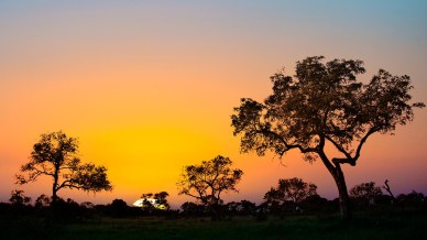 5 canzoni che ti faranno sentire subito in Sudafrica