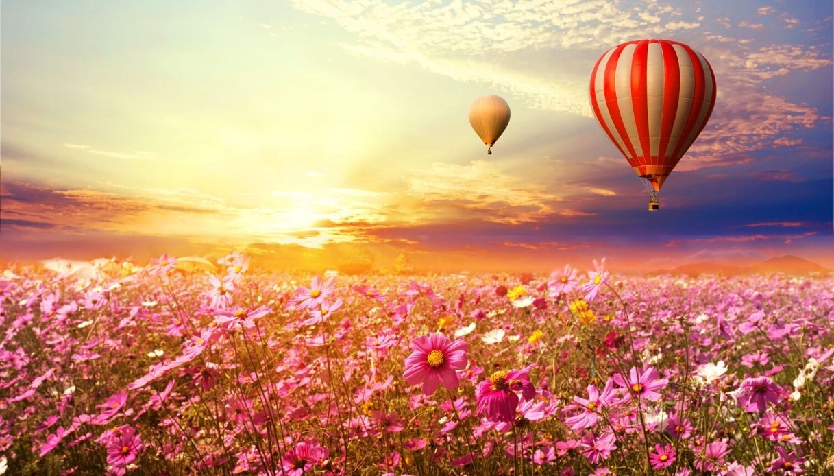 Voglia di viaggiare? Coltiva queste piante per sentirti dall’altra parte del mondo