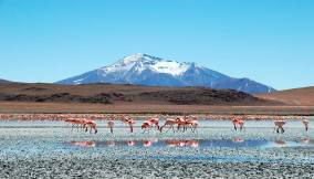 Bolivia: le 5 Lagune Andine da vedere una volta nella vita