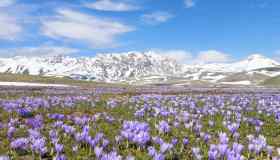 Parco nazionale del Gran Sasso e Monti della Laga, l’Abruzzo che incanta