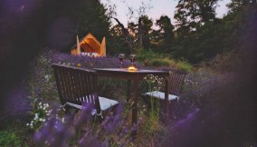 Dormire nei campi di lavanda