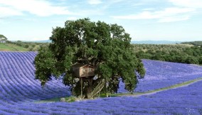 Casa sull'albero, un'esperienza da sogno a Viterbo