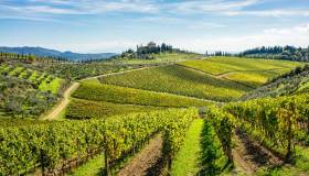 Tra vigne e cantine d’Italia per scoprire territori mozzafiato