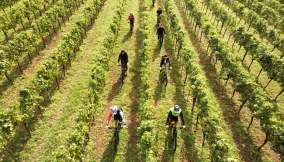 Festival-del-Franciacorta-in-Cantina