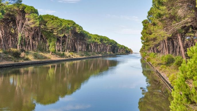 San Rossore, il parco delle favole a due passi da Pisa