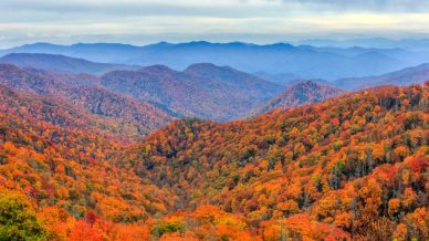 Succede negli Stati Uniti: la mappa interattiva del foliage è online