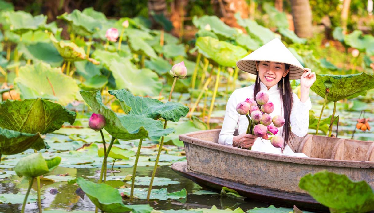 fiori di loto Vietnam