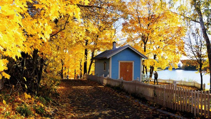 Ruska, il foliage della Finlandia, è un fenomeno unico al mondo