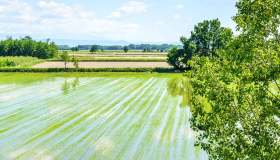 Lomellina, scoprire un territorio di castelli e risaie