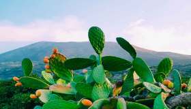 Scoprire Stromboli in 7 scatti