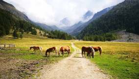 val-fosse-aa-gruppo-tessa