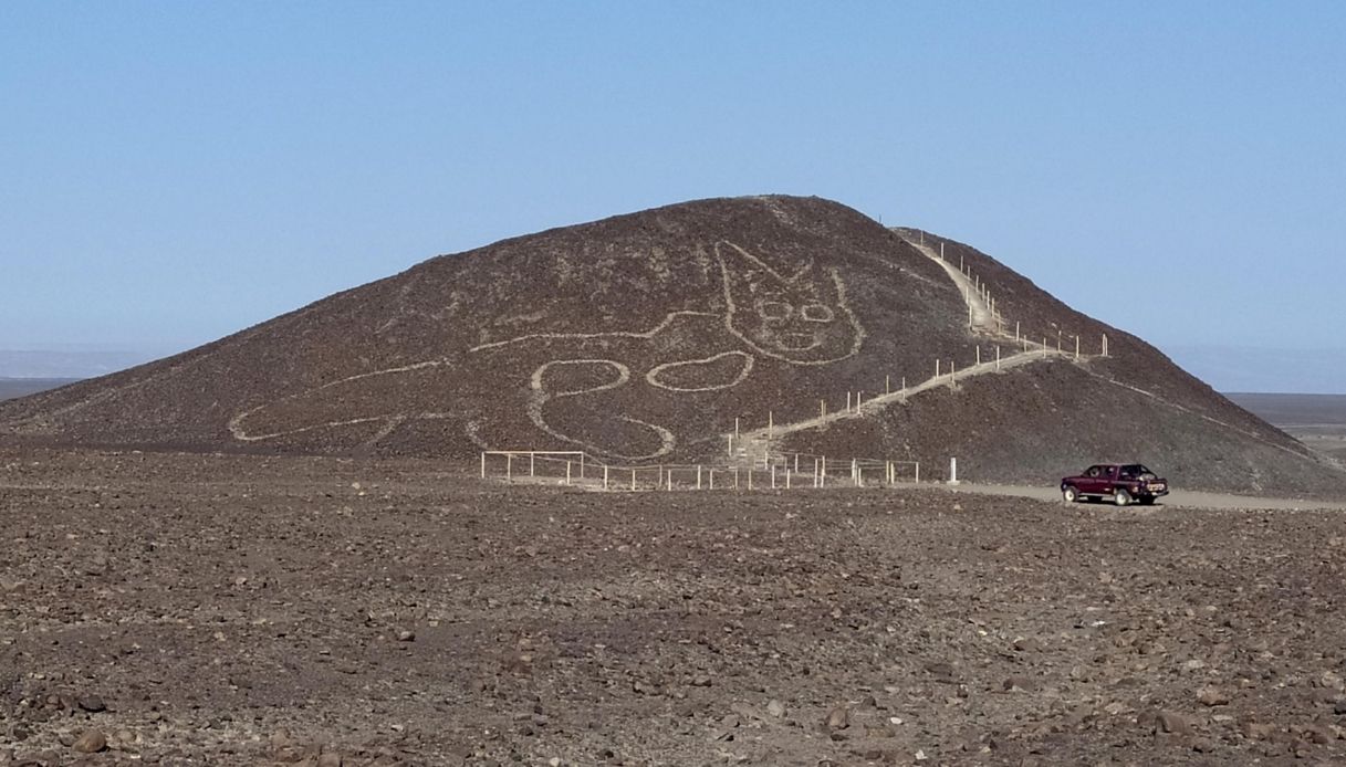 Linee Nazca Peru spunta geoglifo gatto