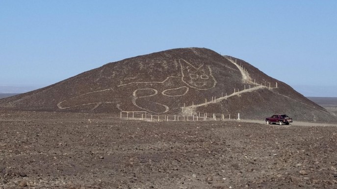 Linee di Nazca, in Perù spunta il geoglifo di un gatto