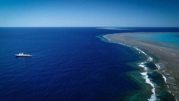 In Australia è stata scoperta una nuova barriera corallina