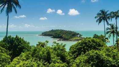 Sull’isola di Papillon, nella Guyana francese