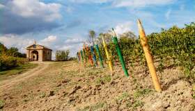 Viaggio tra le colline Unesco del Monferrato