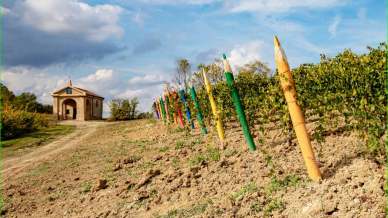 Viaggio tra le colline Unesco del Monferrato