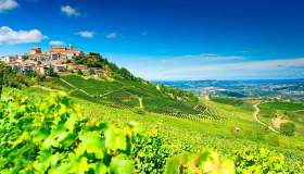 Barolo: è in Piemonte la Città del Vino del 2021