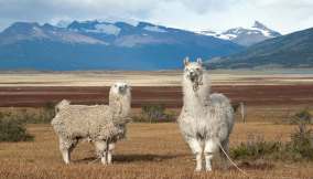 Patagonia Argentina: le tappe che non possono mancare