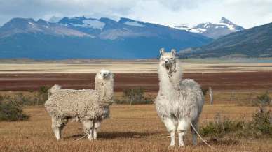 Patagonia Argentina: le tappe che non possono mancare