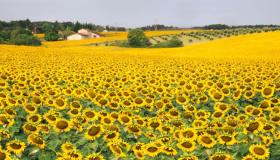 Tutti i colori del Sole: queste destinazioni ti faranno tornare il sorriso