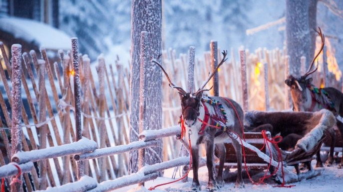 Come incontrare il vero Babbo Natale finlandese nel 2020