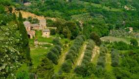 Toiano-borgo-abbandonato-toscana