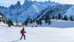 Vacanze sulla neve in Alto Adige: il fascino delle ciaspolate