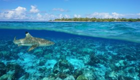 10 foto da Rangiroa, l’acquario naturale della Polinesia francese