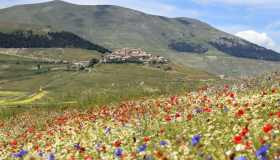 Quali sono i borghi italiani più belli da visitare in primavera