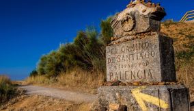 Cammino Francese Santiago