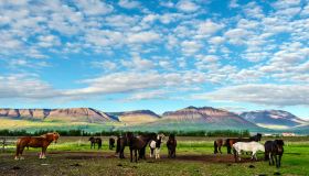 Viaggi digital detox in Europa: tra bellezza e benessere