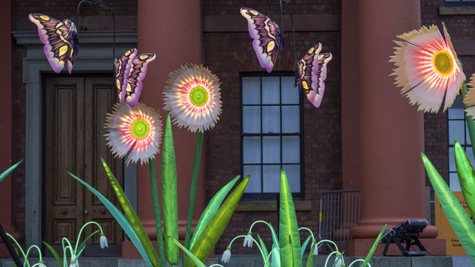 Fiori, farfalle e installazioni luminose: Liverpool diventa una galleria d’arte all’aperto