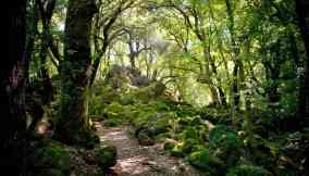 A Sasseto, nel magico bosco di Biancaneve