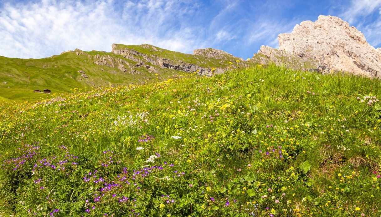 L'Italia della natura incontaminata: i luoghi per la primavera