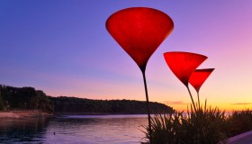 Il Progetto Europeo MAPPAE per viaggiare tra erbe aromatiche