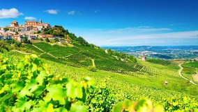 Piemonte, con le sue famose colline pettinate a vite