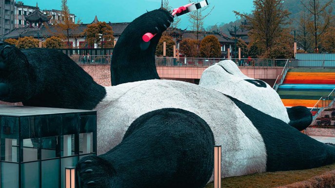 Perché c’è un grosso panda disteso a terra intento a farsi un selfie?