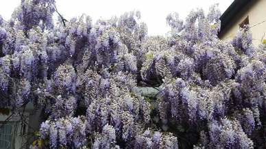 A Milano c’è un angolo di periferia tanto amato da Leonardo