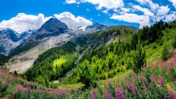 Fuga dalla città: i Parchi Nazionali italiani per l’estate